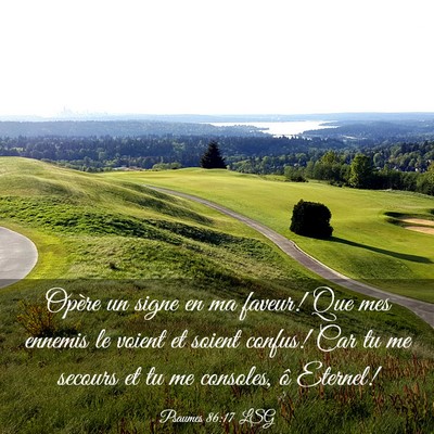 Picture 03 - Psaumes 86:17 LSG - Opère un signe en ma faveur! Que mes ennemis le - Bible Verse Picture
