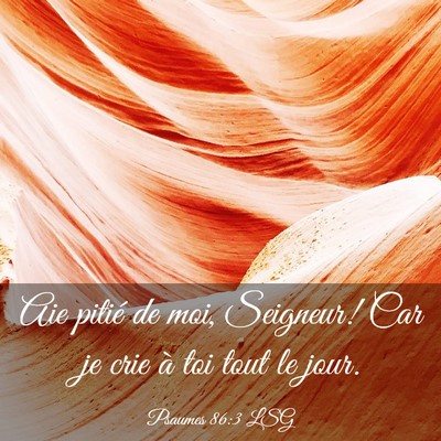 Picture 03 - Psaumes 86:3 LSG - Aie pitié de moi, Seigneur! Car je crie à toi - Bible Verse Picture