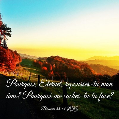 Picture 03 - Psaumes 88:14 LSG - Pourquoi, Eternel, repousses-tu mon âme? - Bible Verse Picture