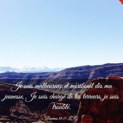 Picture 03 - Psaumes 88:15 LSG - Je suis malheureux et moribond dès ma jeunesse, - Bible Verse Picture