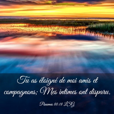 Picture 03 - Psaumes 88:18 LSG - Tu as éloigné de moi amis et compagnons; Mes - Bible Verse Picture