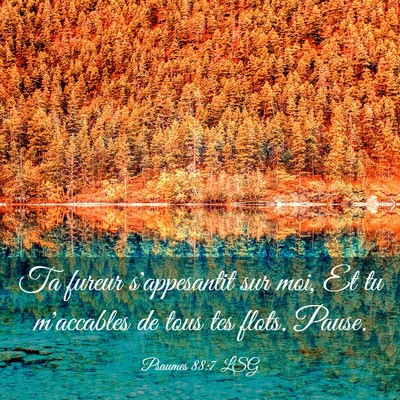 Picture 03 - Psaumes 88:7 LSG - Ta fureur s'appesantit sur moi, Et tu m'accables - Bible Verse Picture