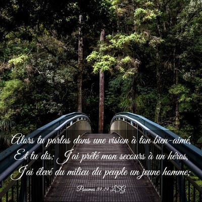 Picture 03 - Psaumes 89:19 LSG - Alors tu parlas dans une vision à ton - Bible Verse Picture