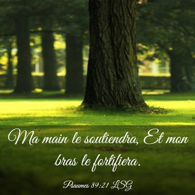 Picture 03 - Psaumes 89:21 LSG - Ma main le soutiendra, Et mon bras le - Bible Verse Picture