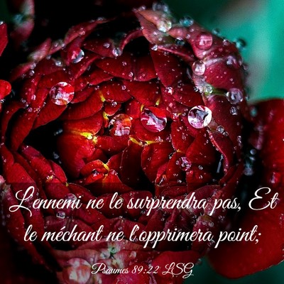 Picture 03 - Psaumes 89:22 LSG - L'ennemi ne le surprendra pas, Et le méchant ne - Bible Verse Picture