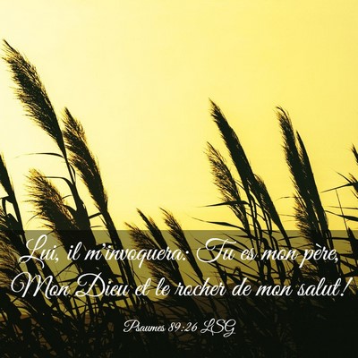Picture 03 - Psaumes 89:26 LSG - Lui, il m'invoquera: Tu es mon père, Mon Dieu et - Bible Verse Picture