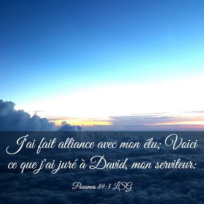 Picture 03 - Psaumes 89:3 LSG - J'ai fait alliance avec mon élu; Voici ce que - Bible Verse Picture