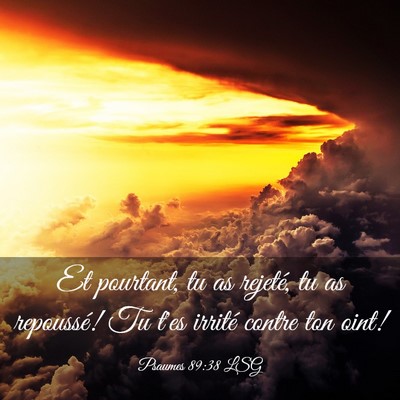Picture 03 - Psaumes 89:38 LSG - Et pourtant, tu as rejeté, tu as repoussé! Tu - Bible Verse Picture