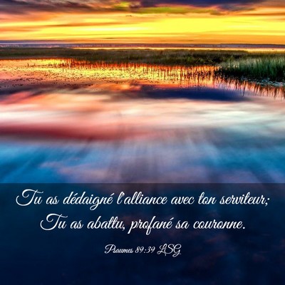 Picture 03 - Psaumes 89:39 LSG - Tu as dédaigné l'alliance avec ton serviteur; - Bible Verse Picture