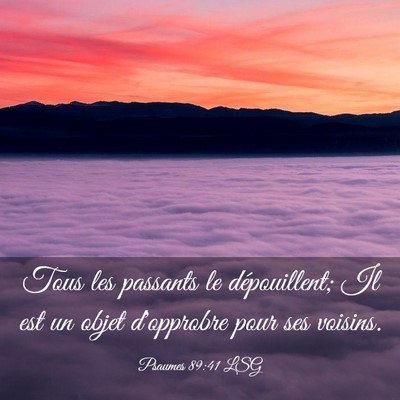 Picture 03 - Psaumes 89:41 LSG - Tous les passants le dépouillent; Il est un - Bible Verse Picture