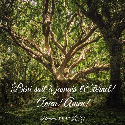 Picture 03 - Psaumes 89:52 LSG - Béni soit à jamais l'Eternel! Amen! - Bible Verse Picture