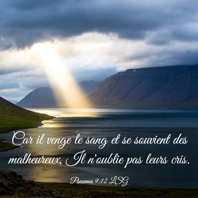 Picture 03 - Psaumes 9:12 LSG - Car il venge le sang et se souvient des - Bible Verse Picture