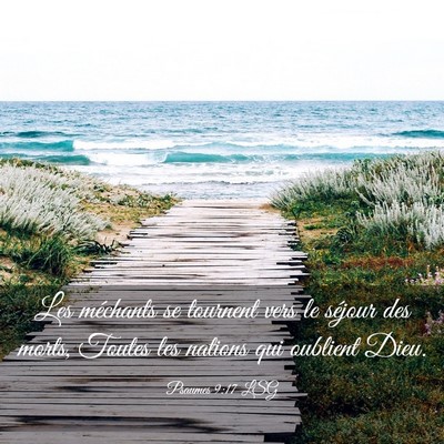 Picture 03 - Psaumes 9:17 LSG - Les méchants se tournent vers le séjour des - Bible Verse Picture