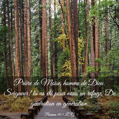 Picture 03 - Psaumes 90:1 LSG - Prière de Moïse, homme de Dieu. Seigneur! tu as - Bible Verse Picture
