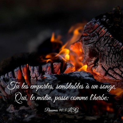 Picture 03 - Psaumes 90:5 LSG - Tu les emportes, semblables à un songe, Qui, le - Bible Verse Picture