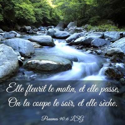 Picture 03 - Psaumes 90:6 LSG - Elle fleurit le matin, et elle passe, On la coupe - Bible Verse Picture