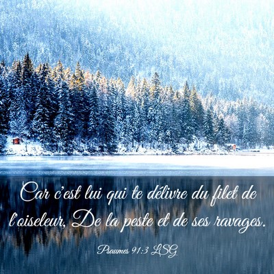 Picture 03 - Psaumes 91:3 LSG - Car c'est lui qui te délivre du filet de - Bible Verse Picture