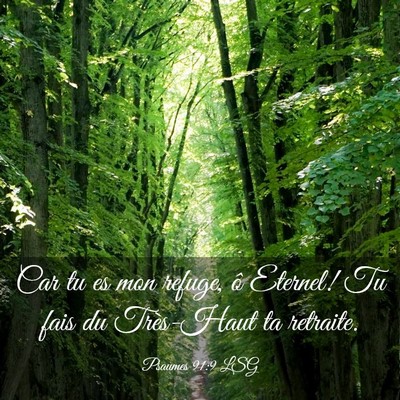 Picture 03 - Psaumes 91:9 LSG - Car tu es mon refuge, ô Eternel! Tu fais du - Bible Verse Picture