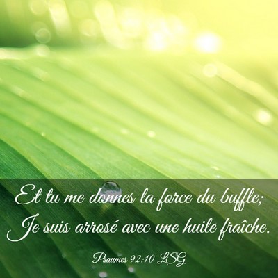 Picture 03 - Psaumes 92:10 LSG - Et tu me donnes la force du buffle; Je suis - Bible Verse Picture