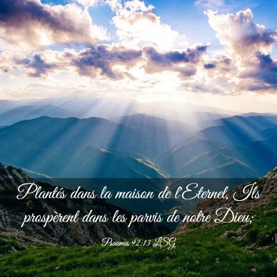 Picture 03 - Psaumes 92:13 LSG - Plantés dans la maison de l'Eternel, Ils - Bible Verse Picture
