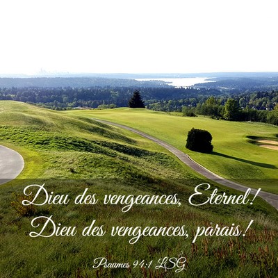 Picture 03 - Psaumes 94:1 LSG - Dieu des vengeances, Eternel! Dieu des - Bible Verse Picture