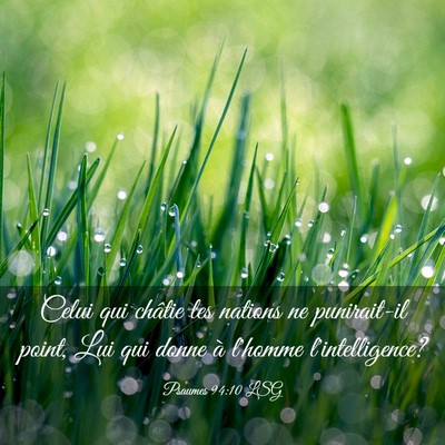 Picture 03 - Psaumes 94:10 LSG - Celui qui châtie les nations ne punirait-il - Bible Verse Picture