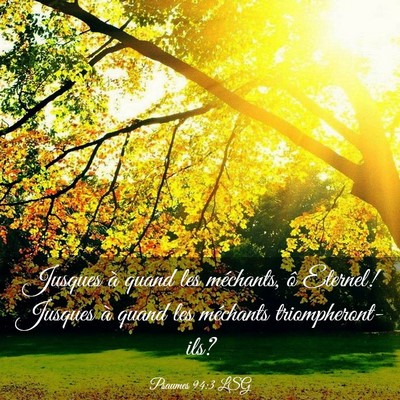 Picture 03 - Psaumes 94:3 LSG - Jusques à quand les méchants, ô Eternel! - Bible Verse Picture