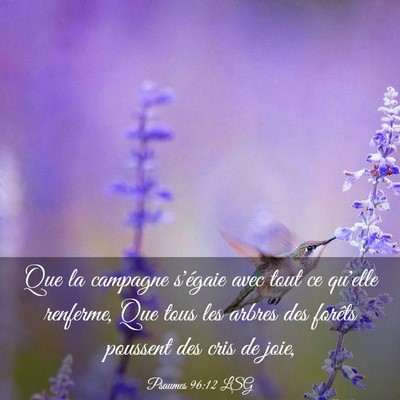 Picture 03 - Psaumes 96:12 LSG - Que la campagne s'égaie avec tout ce qu'elle - Bible Verse Picture