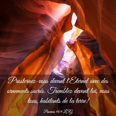 Picture 03 - Psaumes 96:9 LSG - Prosternez-vous devant l'Eternel avec des - Bible Verse Picture