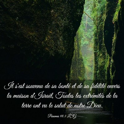 Picture 03 - Psaumes 98:3 LSG - Il s'est souvenu de sa bonté et de sa fidélité - Bible Verse Picture