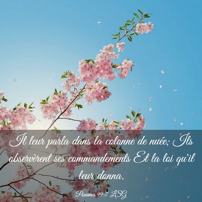 Picture 03 - Psaumes 99:7 LSG - Il leur parla dans la colonne de nuée; Ils - Bible Verse Picture