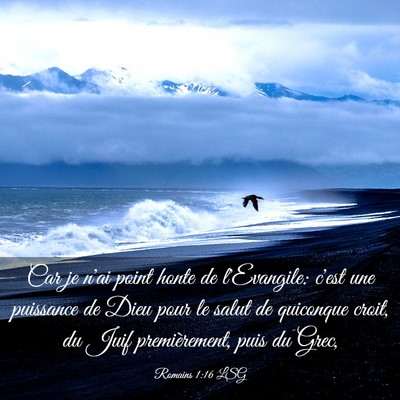 Picture 03 - Romains 1:16 LSG - Car je n'ai point honte de l'Evangile: c'est une - Bible Verse Picture