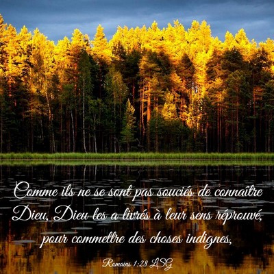 Picture 03 - Romains 1:28 LSG - Comme ils ne se sont pas souciés de connaître - Bible Verse Picture