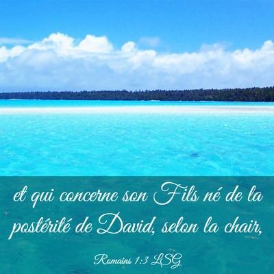 Picture 03 - Romains 1:3 LSG - et qui concerne son Fils né de la postérité de - Bible Verse Picture