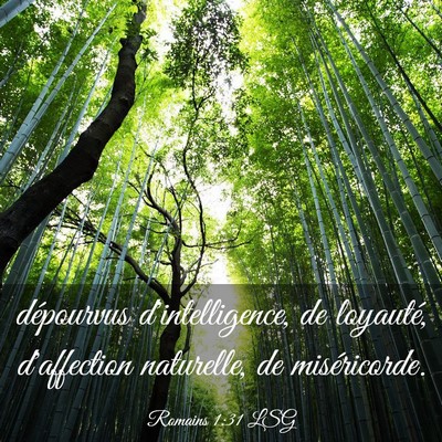 Picture 03 - Romains 1:31 LSG - dépourvus d'intelligence, de loyauté, - Bible Verse Picture