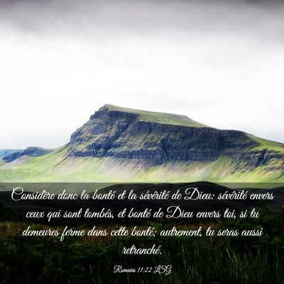 Picture 03 - Romains 11:22 LSG - Considère donc la bonté et la sévérité de - Bible Verse Picture