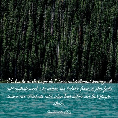 Picture 03 - Romains 11:24 LSG - Si toi, tu as été coupé de l'olivier - Bible Verse Picture