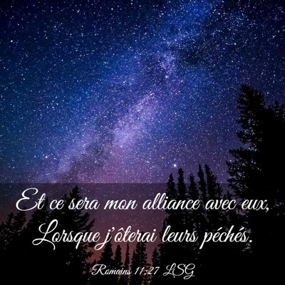 Picture 03 - Romains 11:27 LSG - Et ce sera mon alliance avec eux, Lorsque - Bible Verse Picture