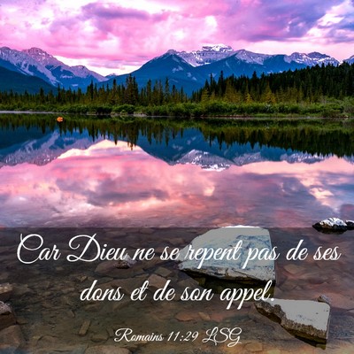 Picture 03 - Romains 11:29 LSG - Car Dieu ne se repent pas de ses dons et de son - Bible Verse Picture