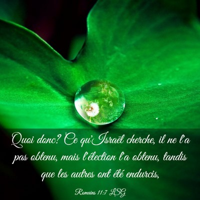 Picture 03 - Romains 11:7 LSG - Quoi donc? Ce qu'Israël cherche, il ne l'a pas - Bible Verse Picture