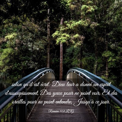 Picture 03 - Romains 11:8 LSG - selon qu'il est écrit: Dieu leur a donné un - Bible Verse Picture