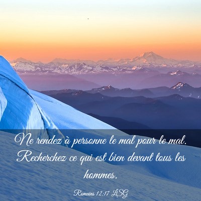 Picture 03 - Romains 12:17 LSG - Ne rendez à personne le mal pour le mal. - Bible Verse Picture