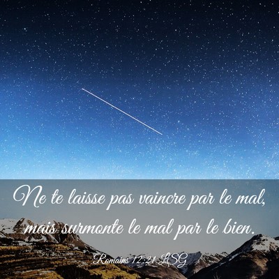 Picture 03 - Romains 12:21 LSG - Ne te laisse pas vaincre par le mal, mais - Bible Verse Picture