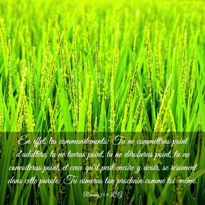 Picture 03 - Romains 13:9 LSG - En effet, les commandements: Tu ne commettras - Bible Verse Picture