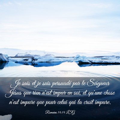 Picture 03 - Romains 14:14 LSG - Je sais et je suis persuadé par le Seigneur - Bible Verse Picture