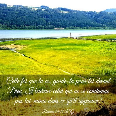 Picture 03 - Romains 14:22 LSG - Cette foi que tu as, garde-la pour toi devant - Bible Verse Picture