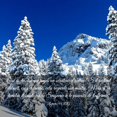 Picture 03 - Romains 14:4 LSG - Qui es-tu, toi qui juges un serviteur d'autrui? - Bible Verse Picture