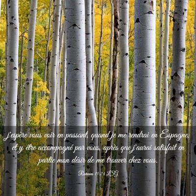 Picture 03 - Romains 15:24 LSG - j'espère vous voir en passant, quand je me - Bible Verse Picture