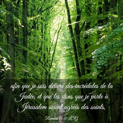 Picture 03 - Romains 15:31 LSG - afin que je sois délivré des incrédules de la - Bible Verse Picture
