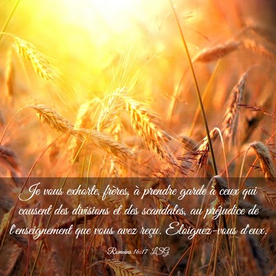 Picture 03 - Romains 16:17 LSG - Je vous exhorte, frères, à prendre garde à - Bible Verse Picture